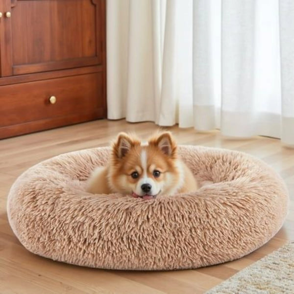 Play & Comfort