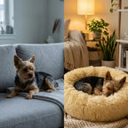 Anxiety-Relieving Plush Donut Pet Bed