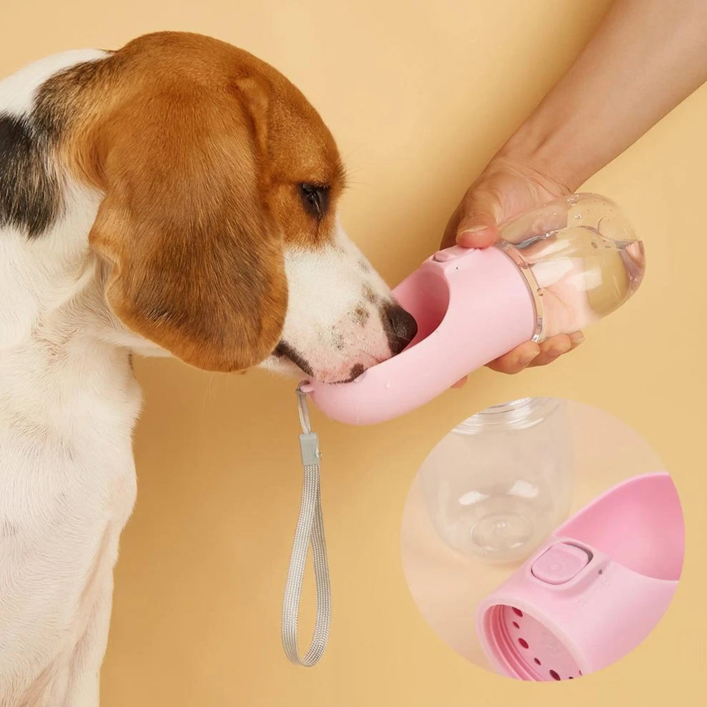 Foldable Leakproof Portable Dog Water Bottle
