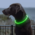 Cut-to-fit 360° Ultra-Bright Loss-Prevention LED Pet Collar