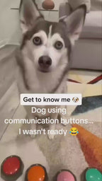 Smart-Training Recordable Pet Buttons