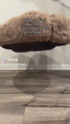 Anxiety-Relieving Plush Donut Pet Bed
