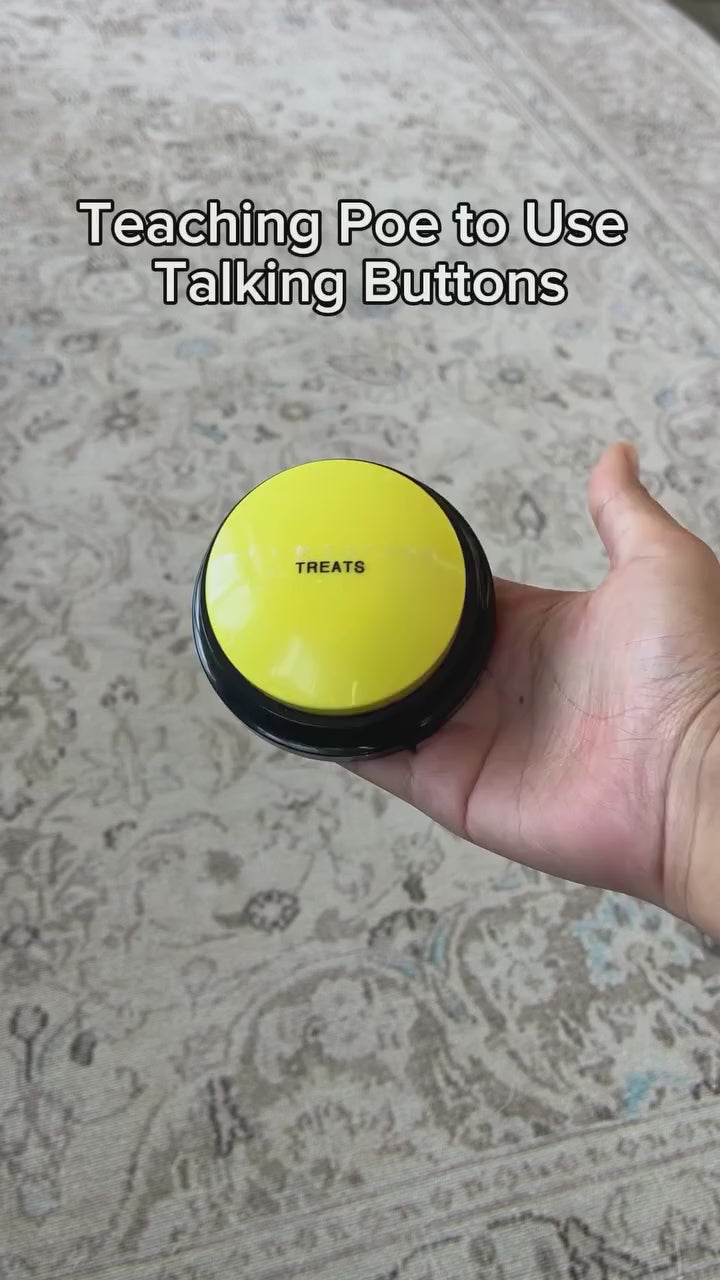 Smart-Training Recordable Pet Speaking Buttons