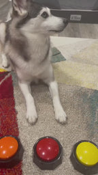 Smart-Training Recordable Pet Buttons